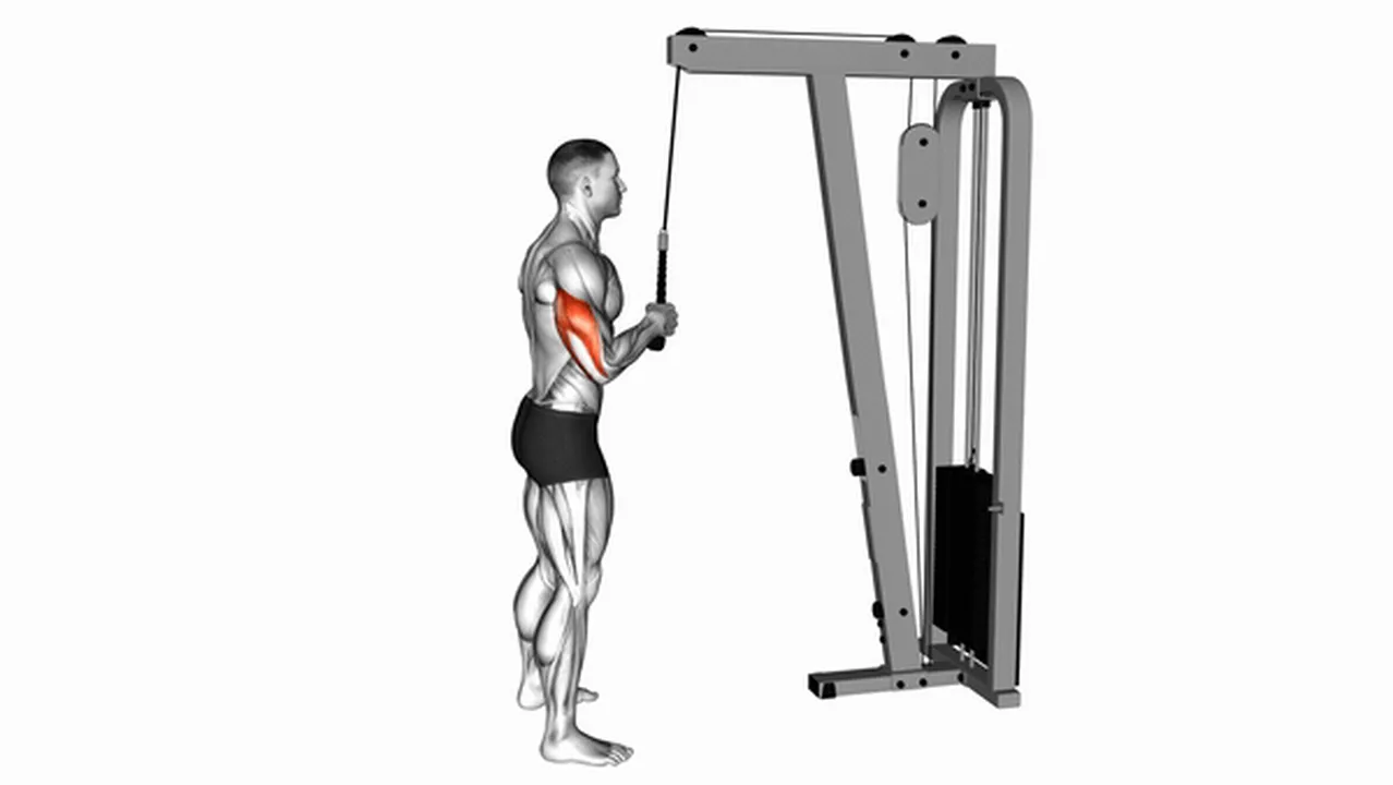 What are the benefits of Cable Standing One Arm Tricep Pushdown? Image