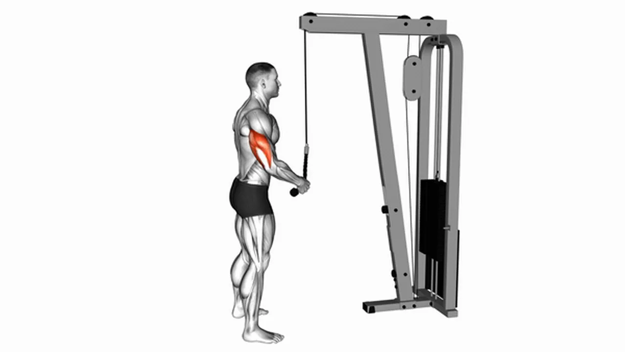 How to do Cable Standing One Arm Tricep Pushdown? Image