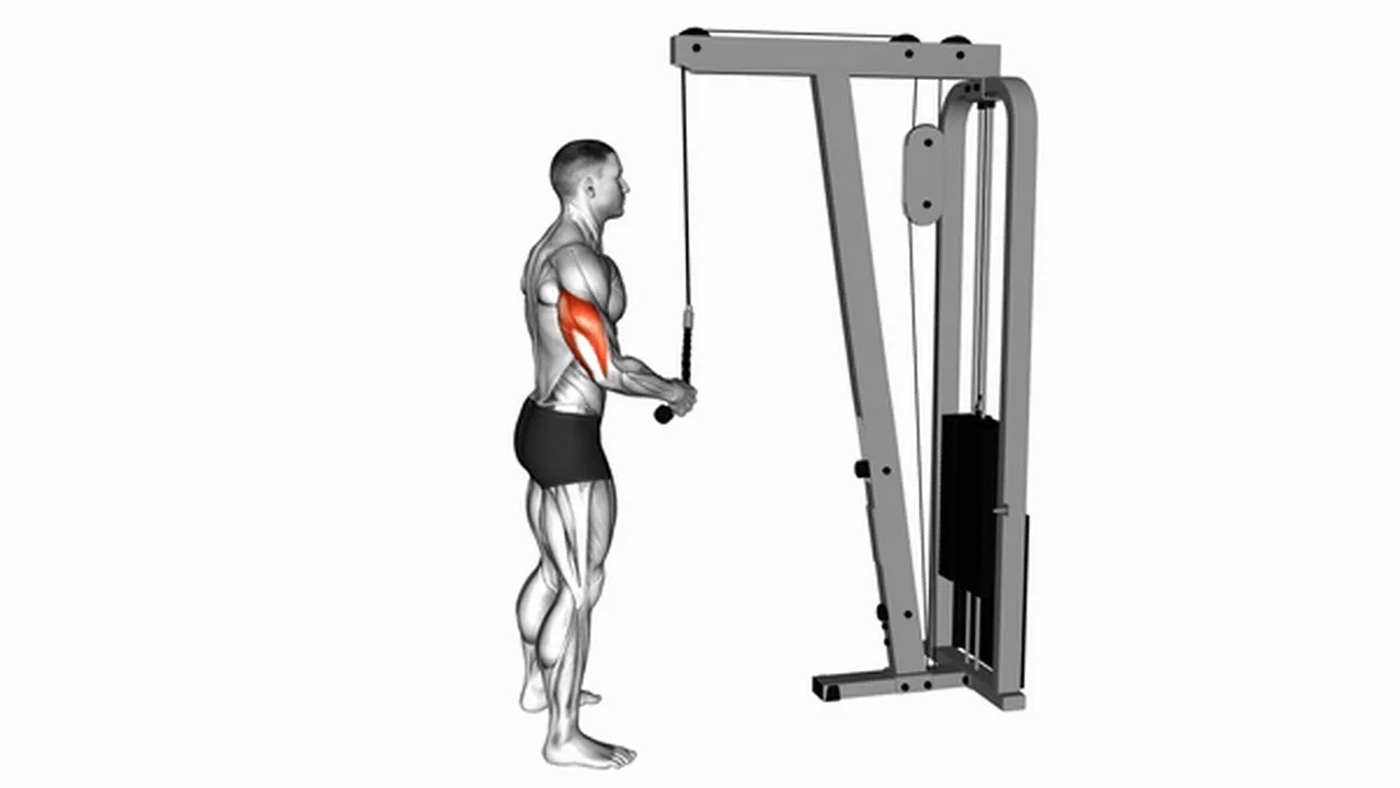 Common Cable Standing One Arm Tricep Pushdown variations Image