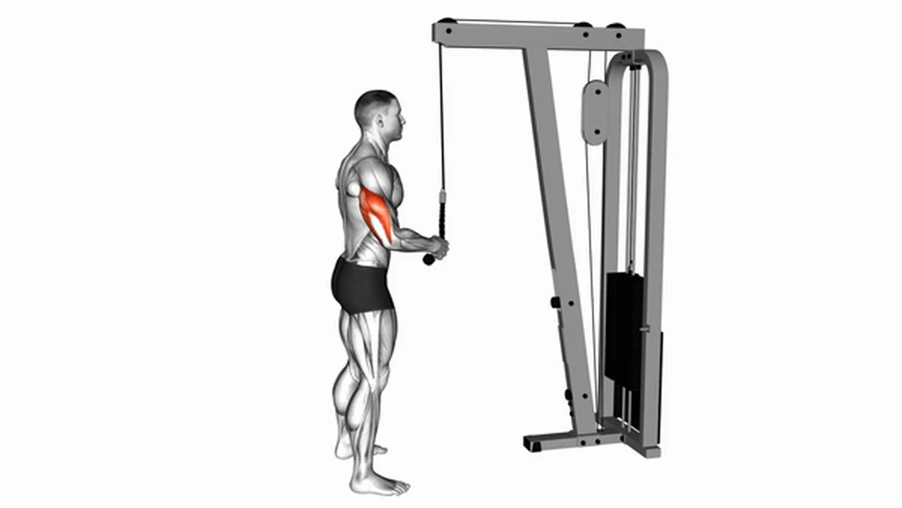 Alternatives to Cable Standing One Arm Tricep Pushdown Image