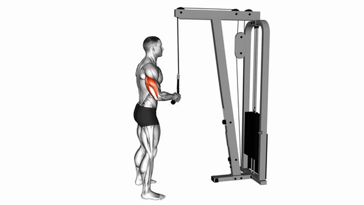 Common mistakes during Cable Standing One Arm Tricep Pushdown Image