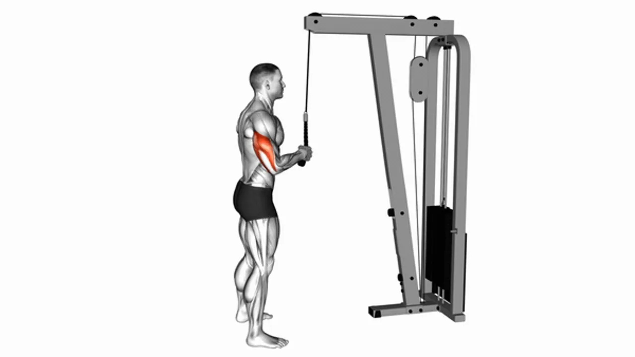 Cable Standing One Arm Tricep Pushdown