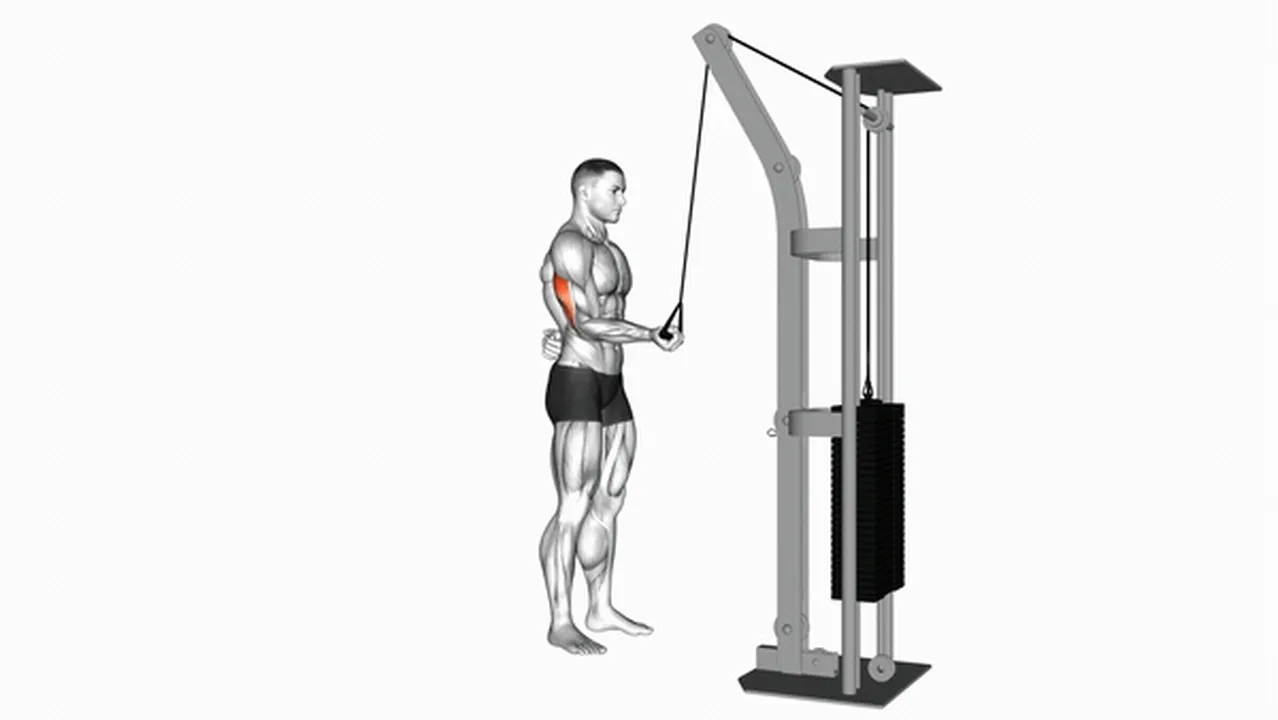 What are the benefits of Cable Standing One Arm Triceps Extension? Image