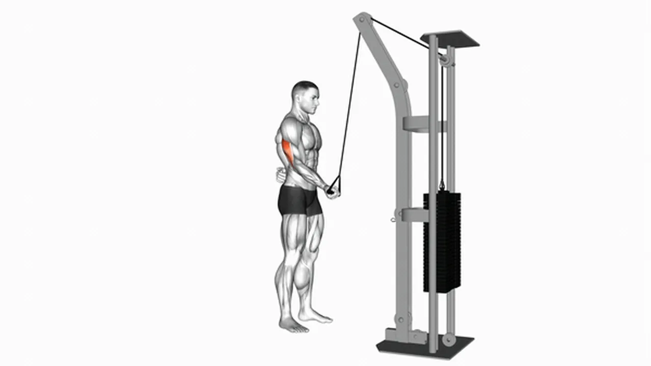 How to do Cable Standing One Arm Triceps Extension? Image