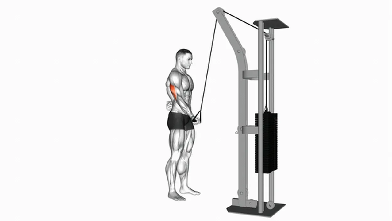 Common Cable Standing One Arm Triceps Extension variations Image