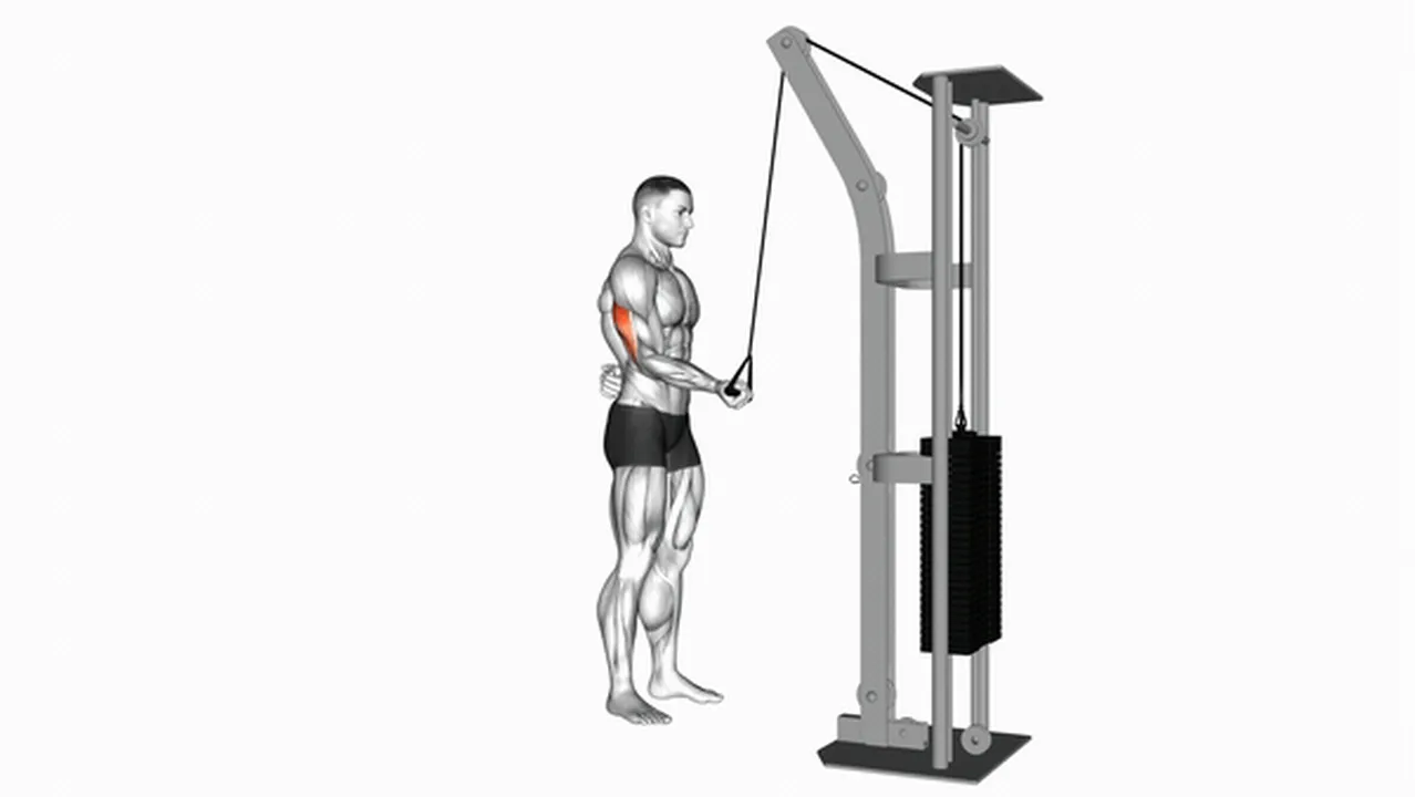 Alternatives to Cable Standing One Arm Triceps Extension Image