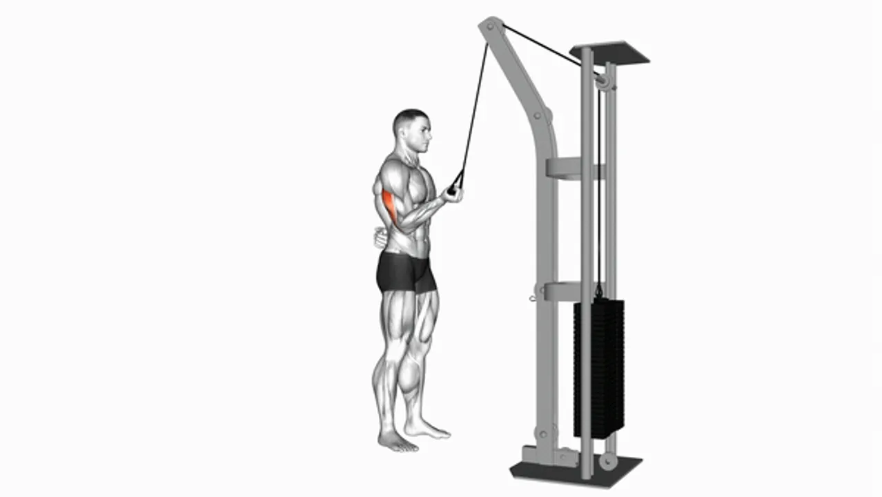 Cable Standing One Arm Triceps Extension