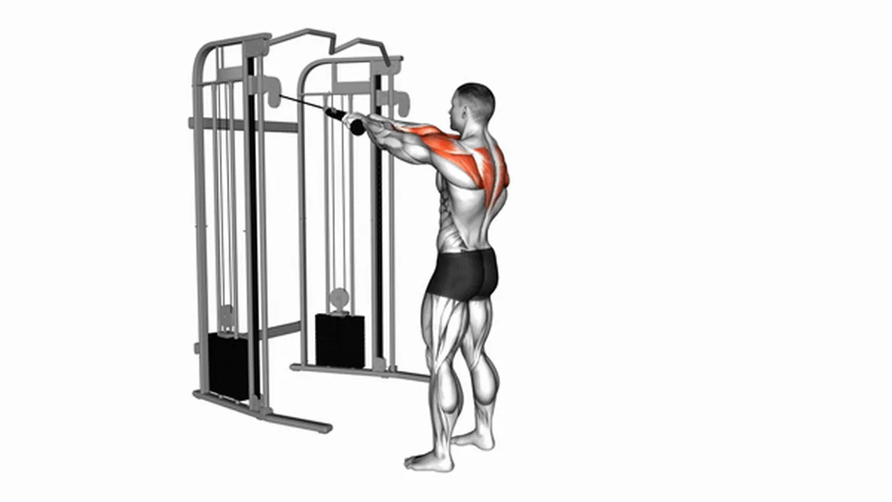 How to do Cable Standing Rear Delt Rows? Image