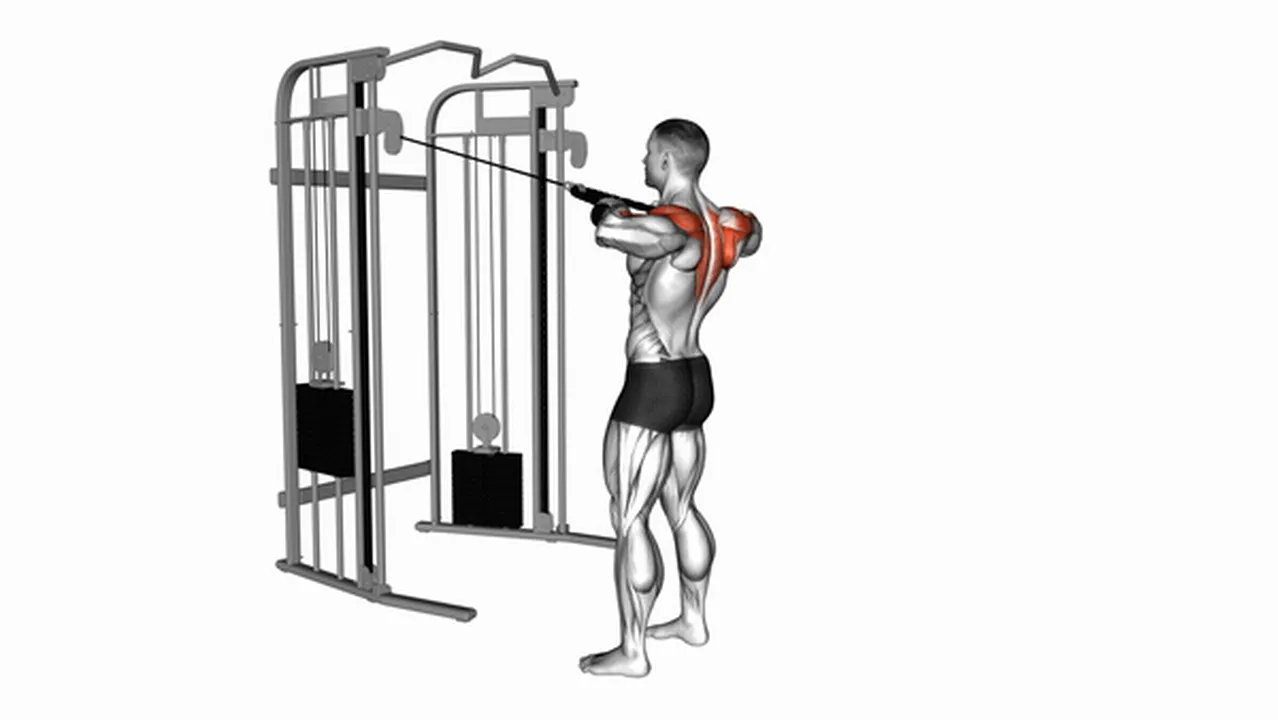 Alternatives to Cable Standing Rear Delt Rows Image