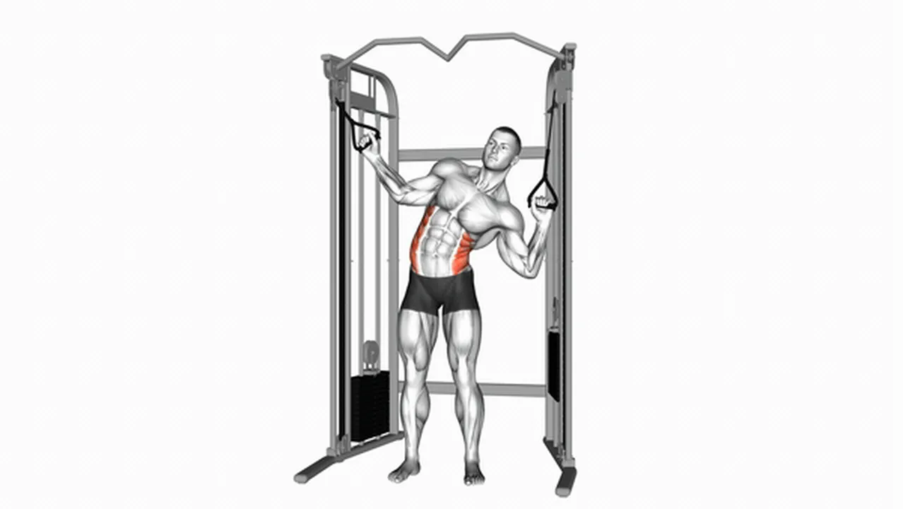 Common Cable Standing Serratus Crunch variations Image