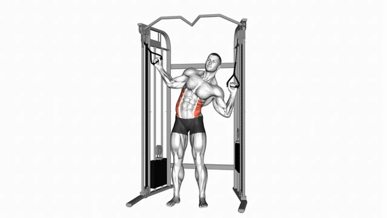 Alternatives to Cable Standing Serratus Crunch Image