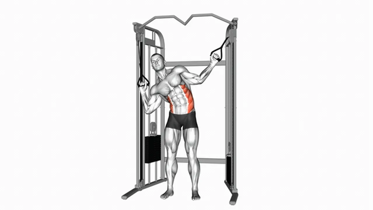 Common mistakes during Cable Standing Serratus Crunch Image