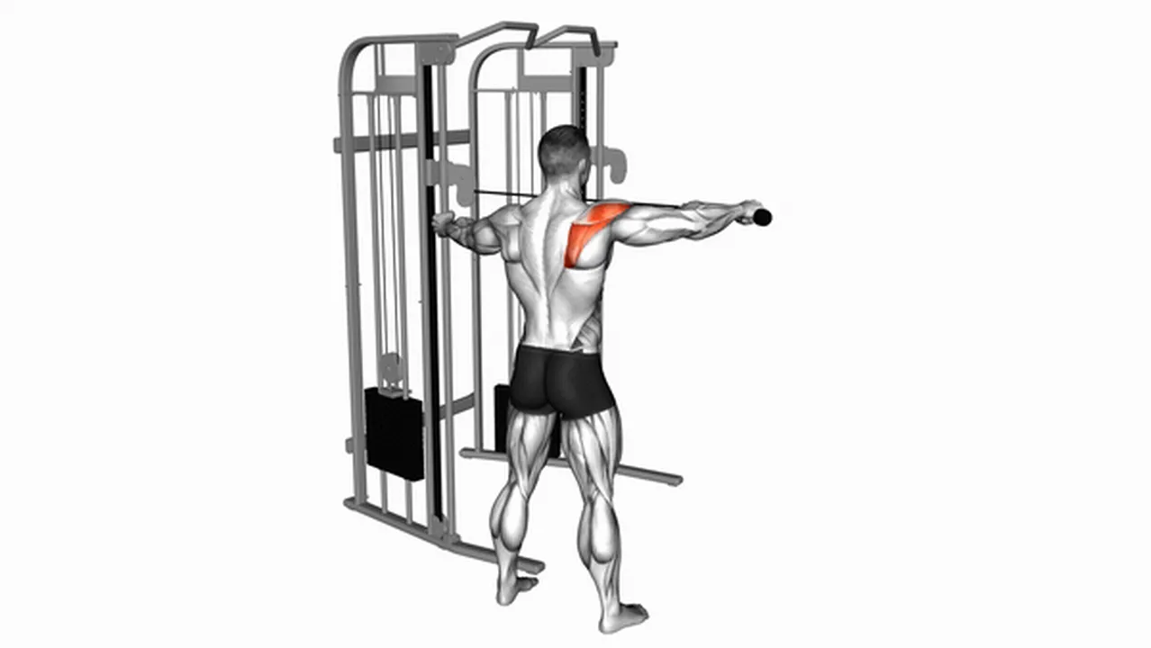 What are the benefits of the Cable Standing Single Delt Row? Image