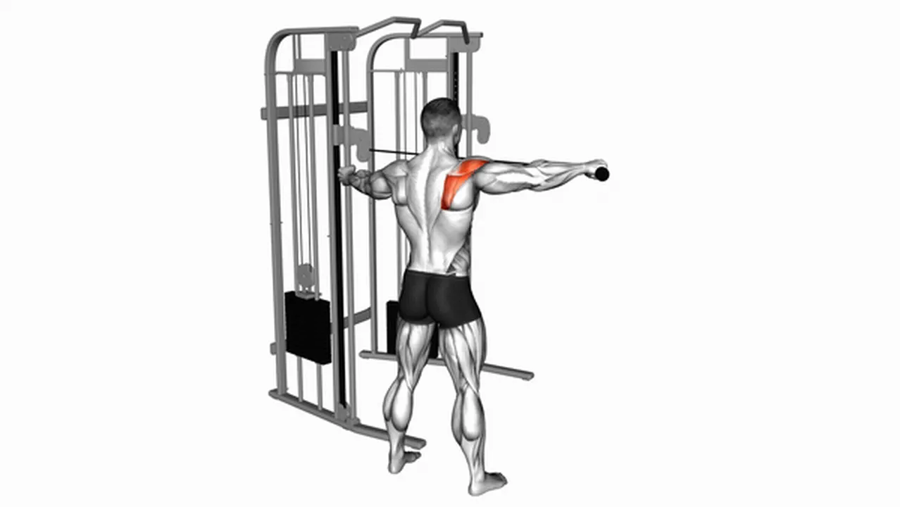 How to do the Cable Standing Single Delt Row? Image