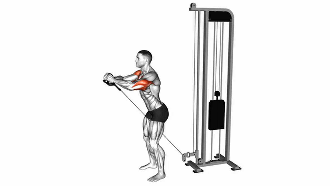 Common Cable Standing Squeeze Upper Chest Press variations Image