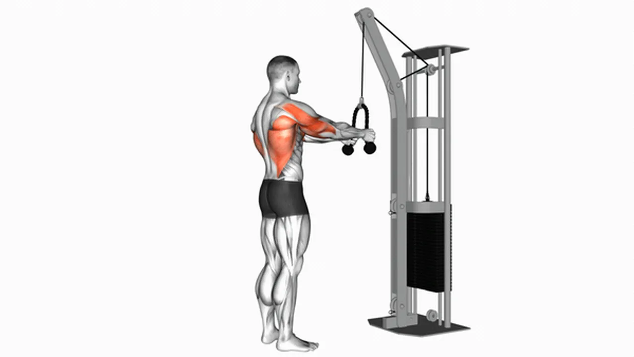 How to do Cable Straight Arm Pulldowns? Image