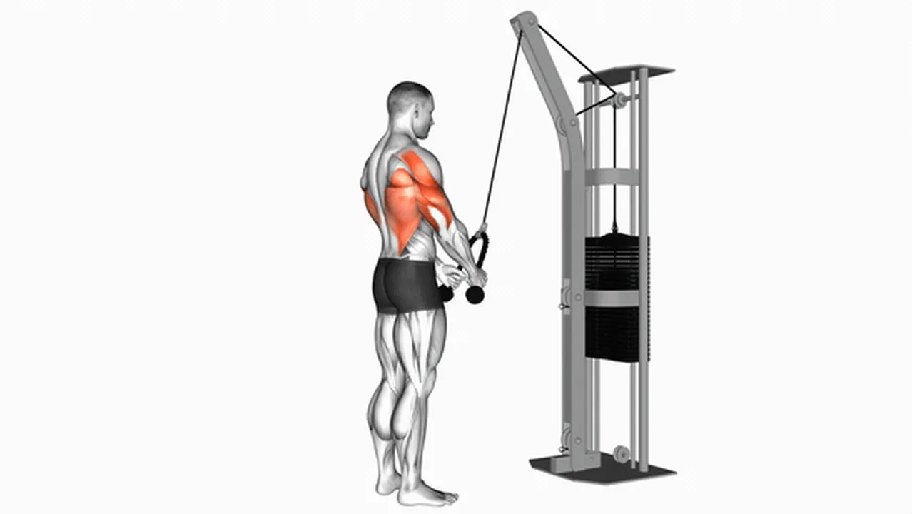 Common Cable Straight Arm Pulldown Variations Image