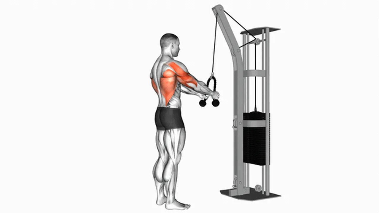 Alternatives to Cable Straight Arm Pulldowns Image