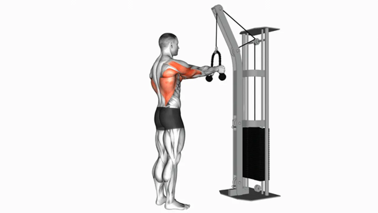 Cable Straight Arm Pulldown