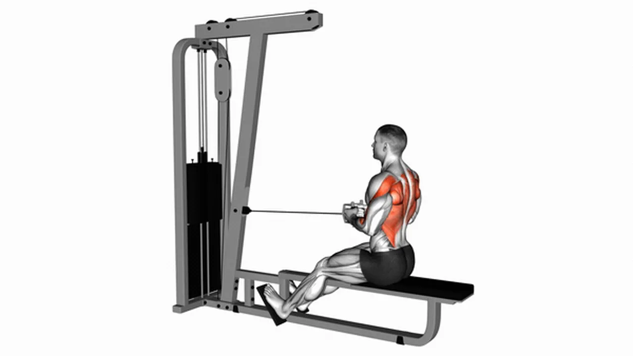 How to do Cable Straight Back Seated Row? Image