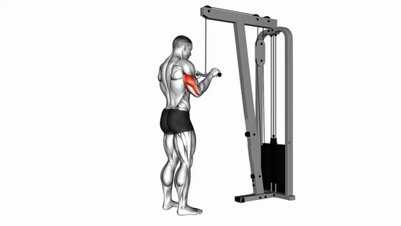 What are the benefits of Cable Triceps Pushdowns? Image