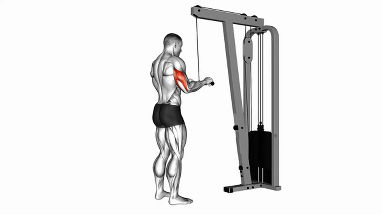 Alternatives to Cable Triceps Pushdowns Image