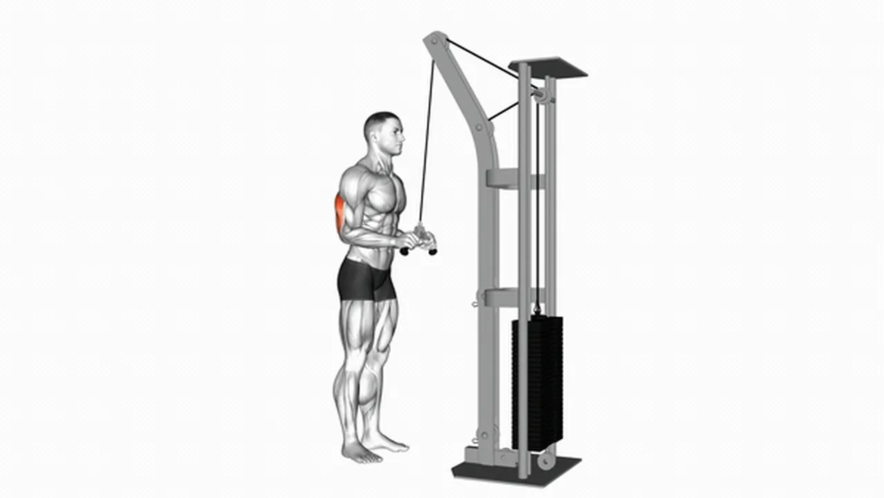 What are the benefits of cable triceps pushdowns? Image