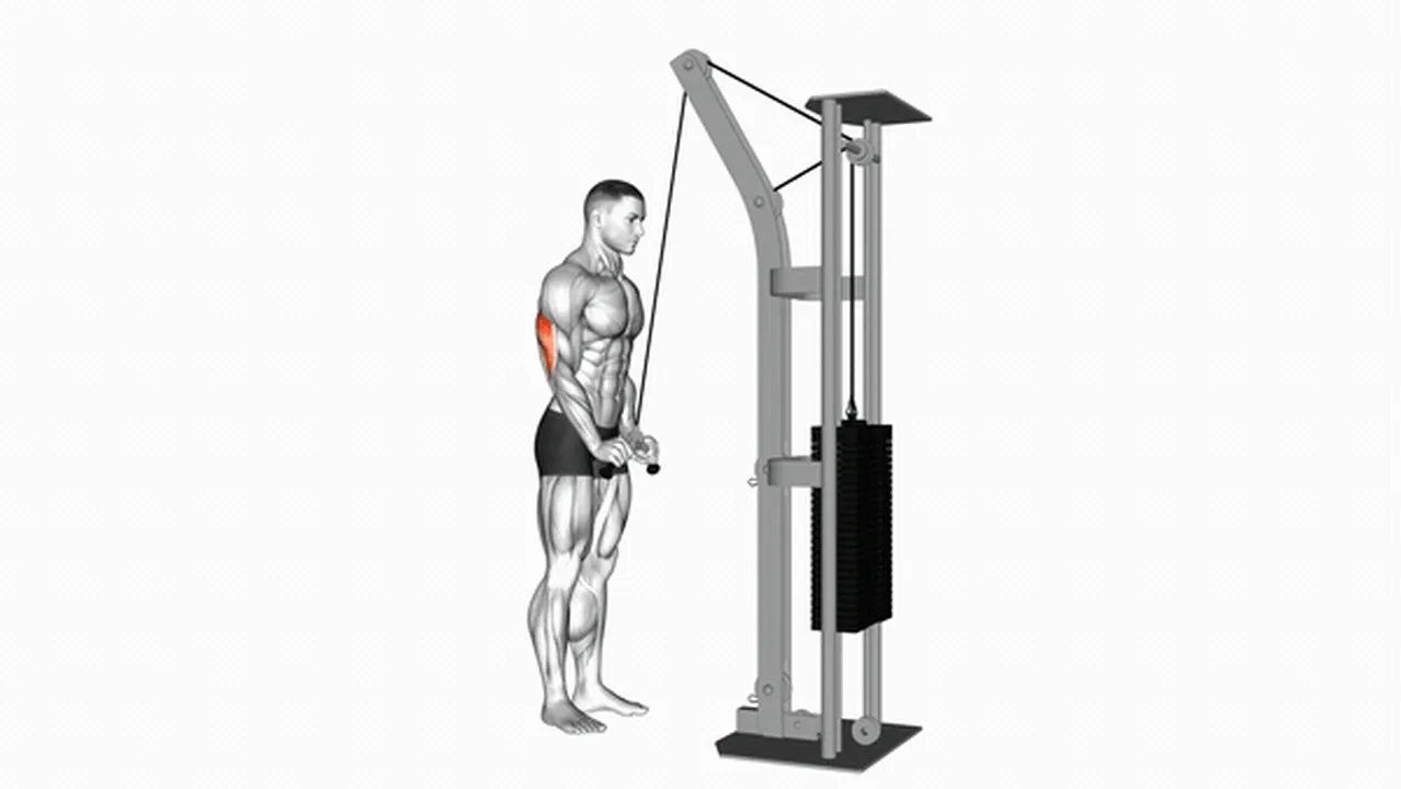 How to do cable triceps pushdowns? Image