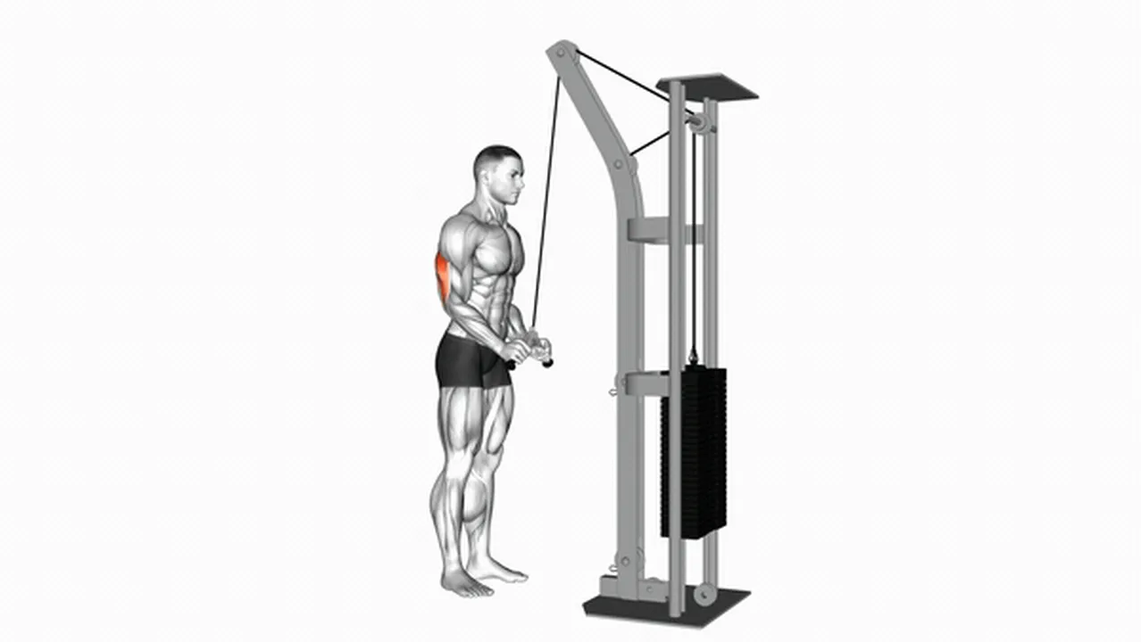 Common mistakes during cable triceps pushdowns Image