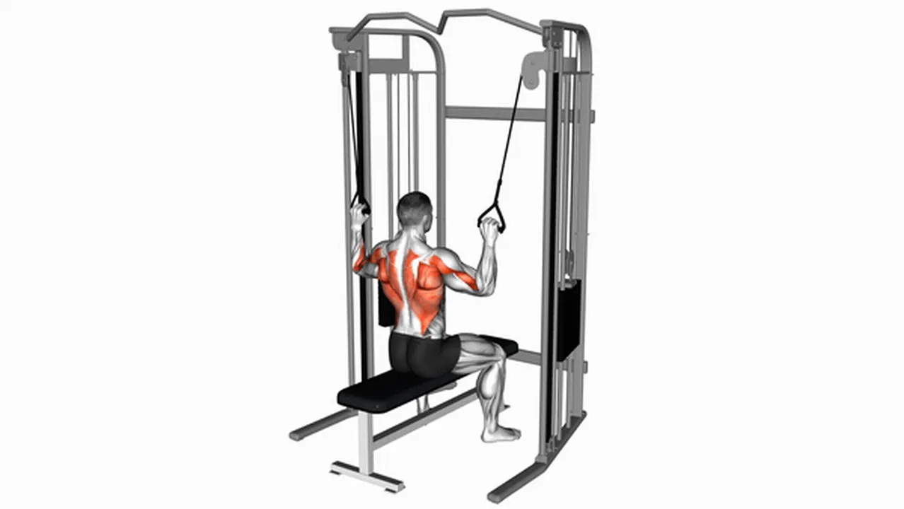 Alternatives to Cable Twin Handle Parallel Grip Lat Pulldown Image