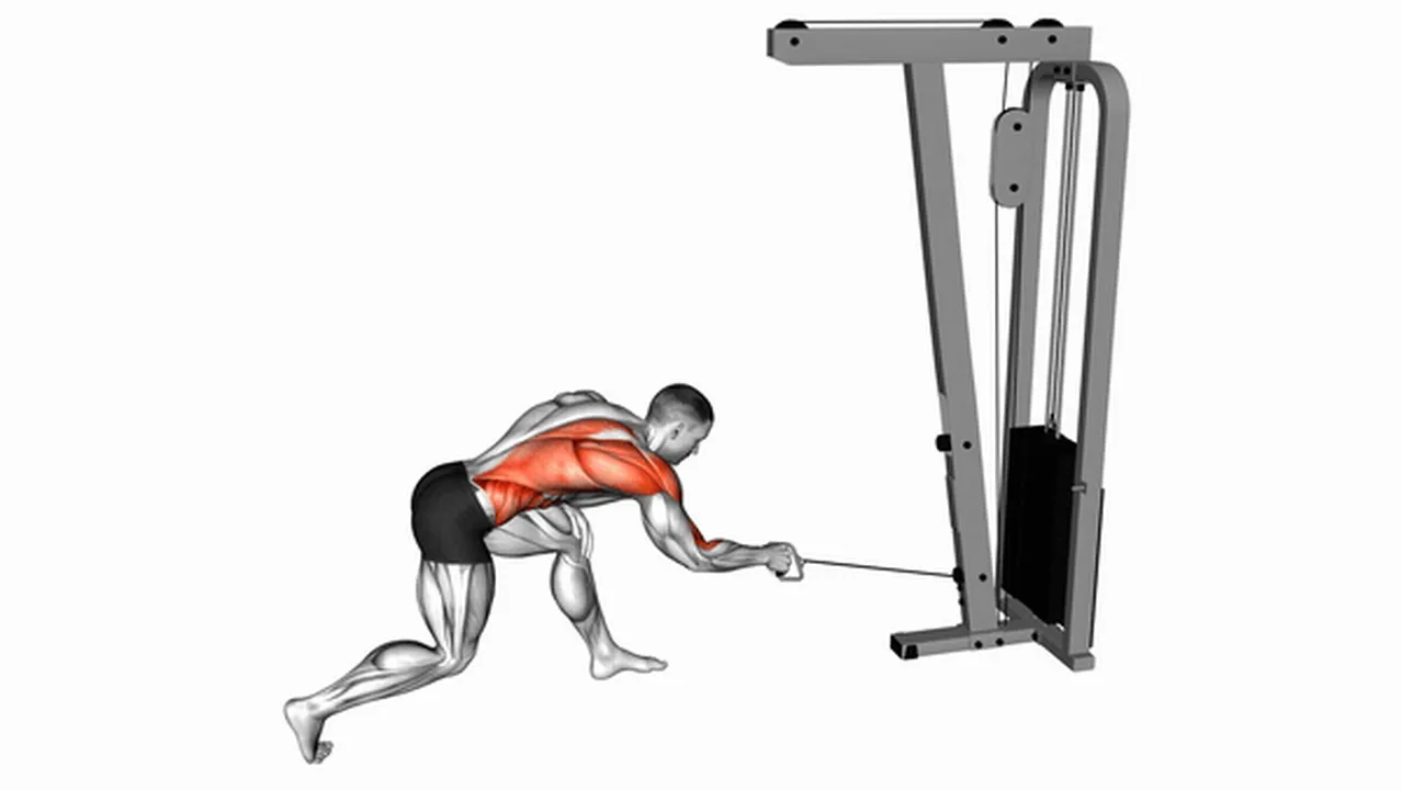 How to do Cable Twisting Pull Backs? Image