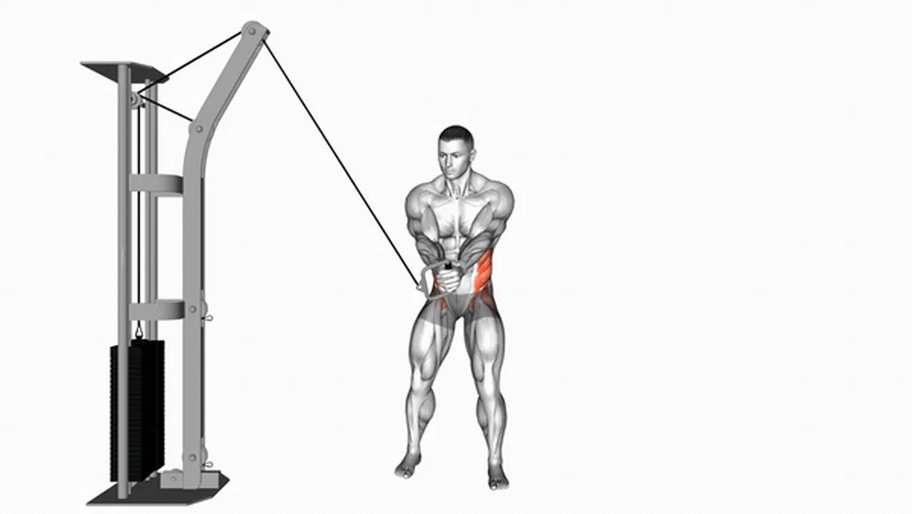 Common variations of Cable Twists Image