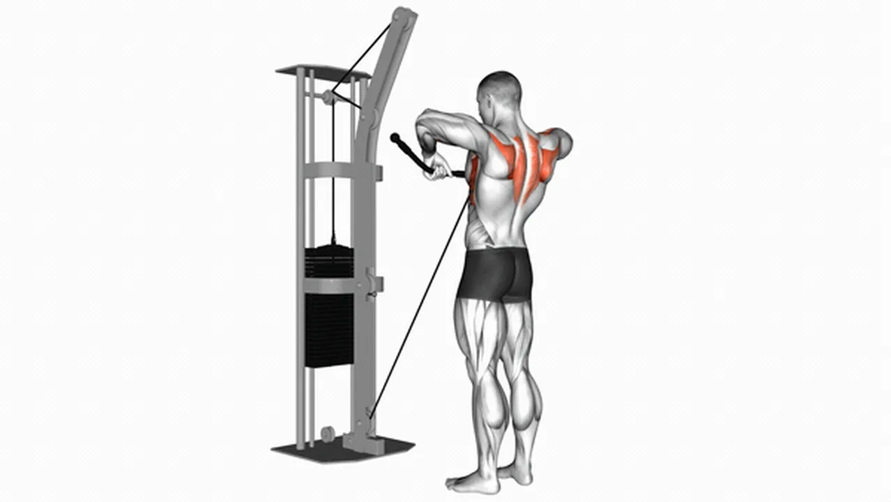 Common Cable Upright Row variations Image