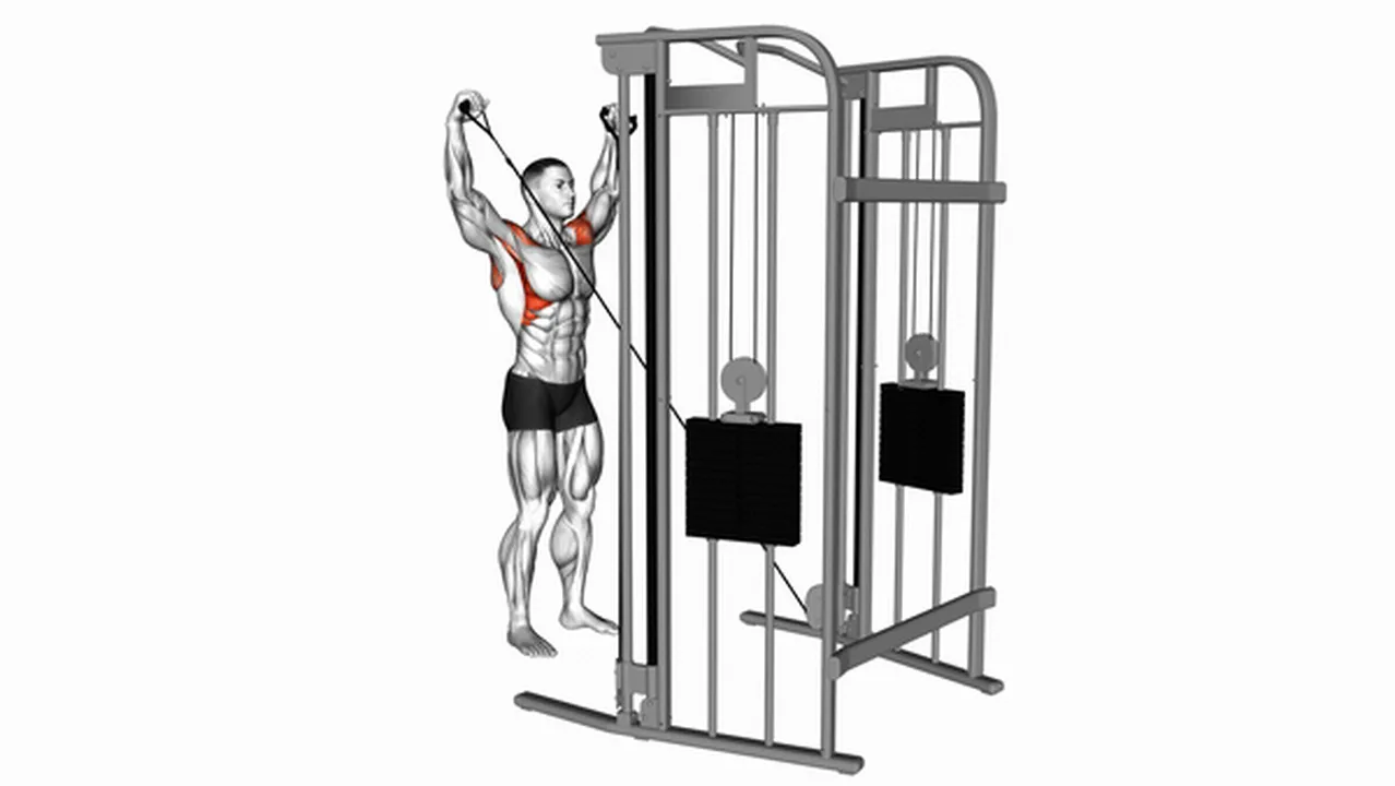 Common Cable Y Raise variations Image