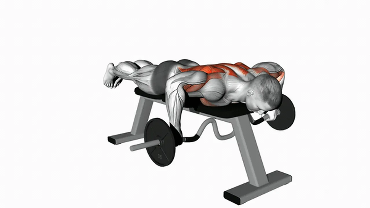 Alternatives to the Cambered Bar Lying Row Image