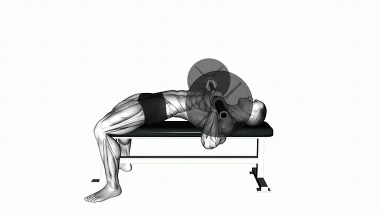 Common Chest Bench Press Variations Image