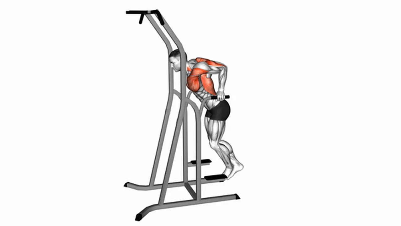 How to do chest dips? Image