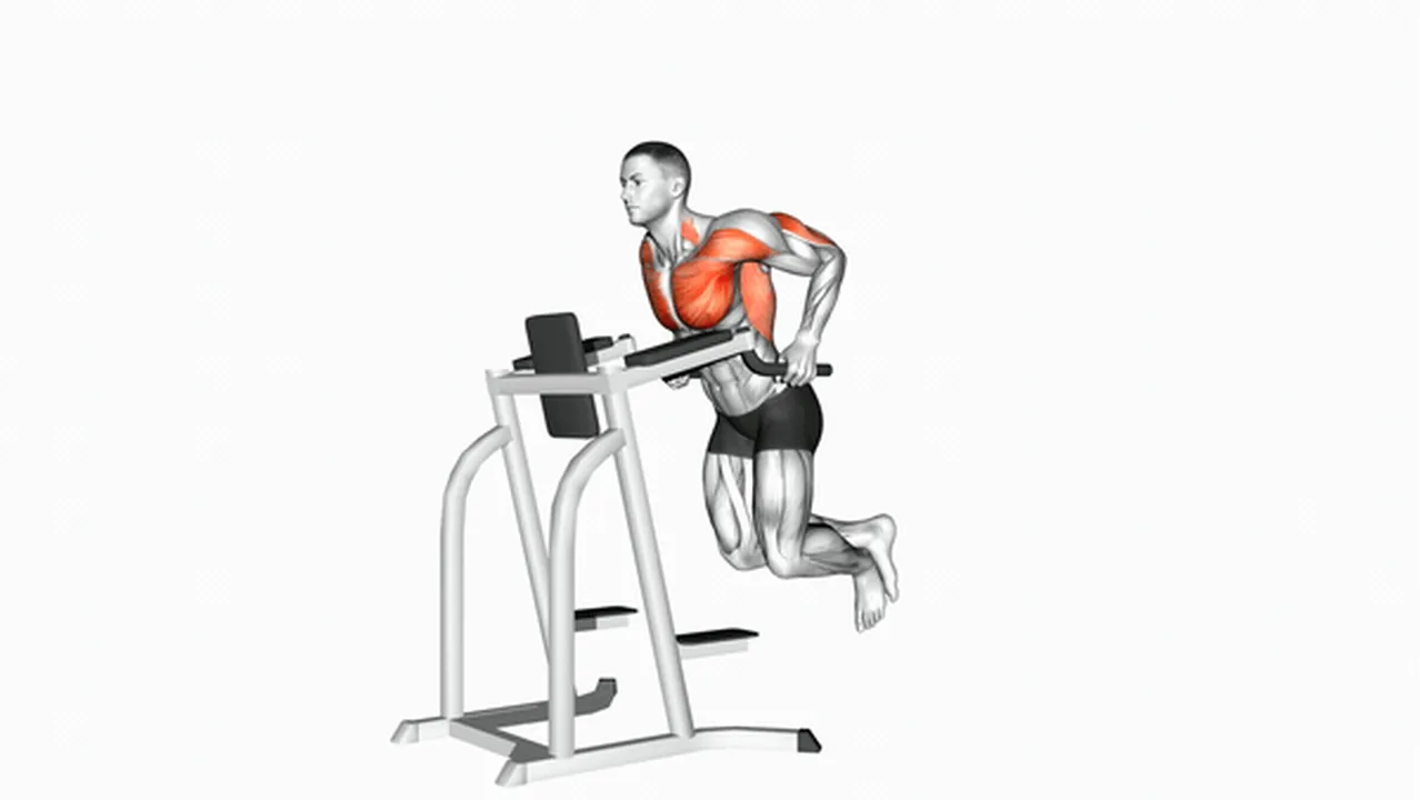 Common chest dips variations Image