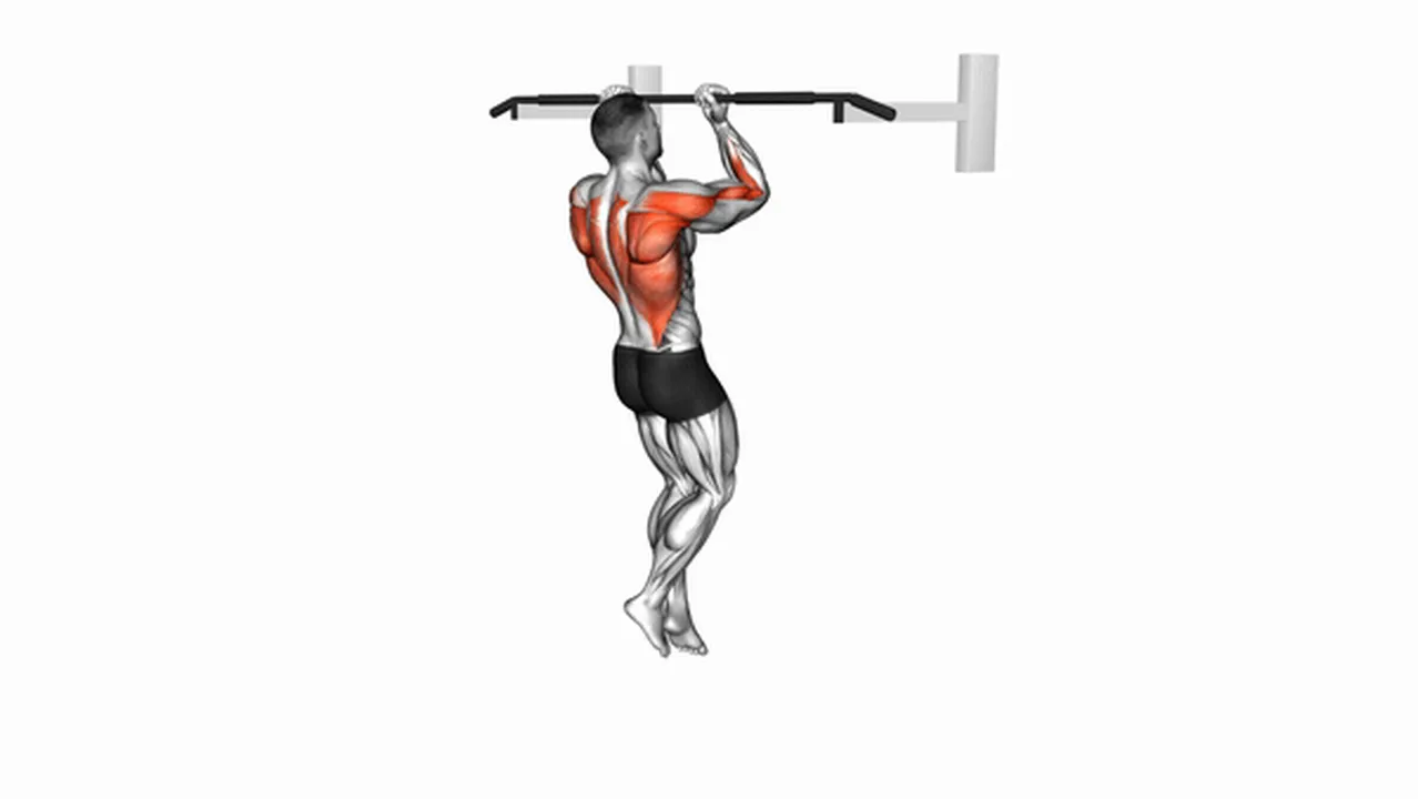 Common Chin-Up variations Image