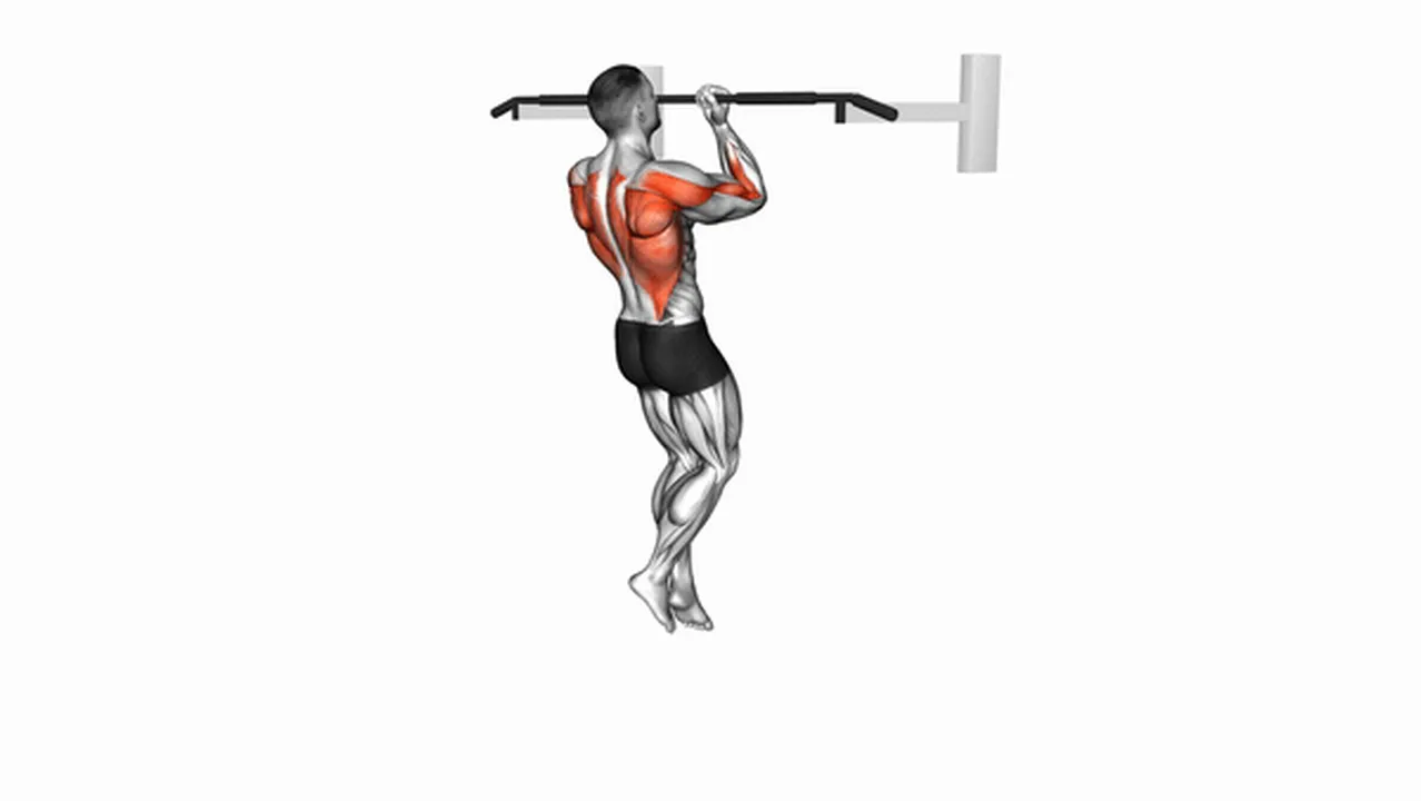 Alternatives to Chin-Ups Image