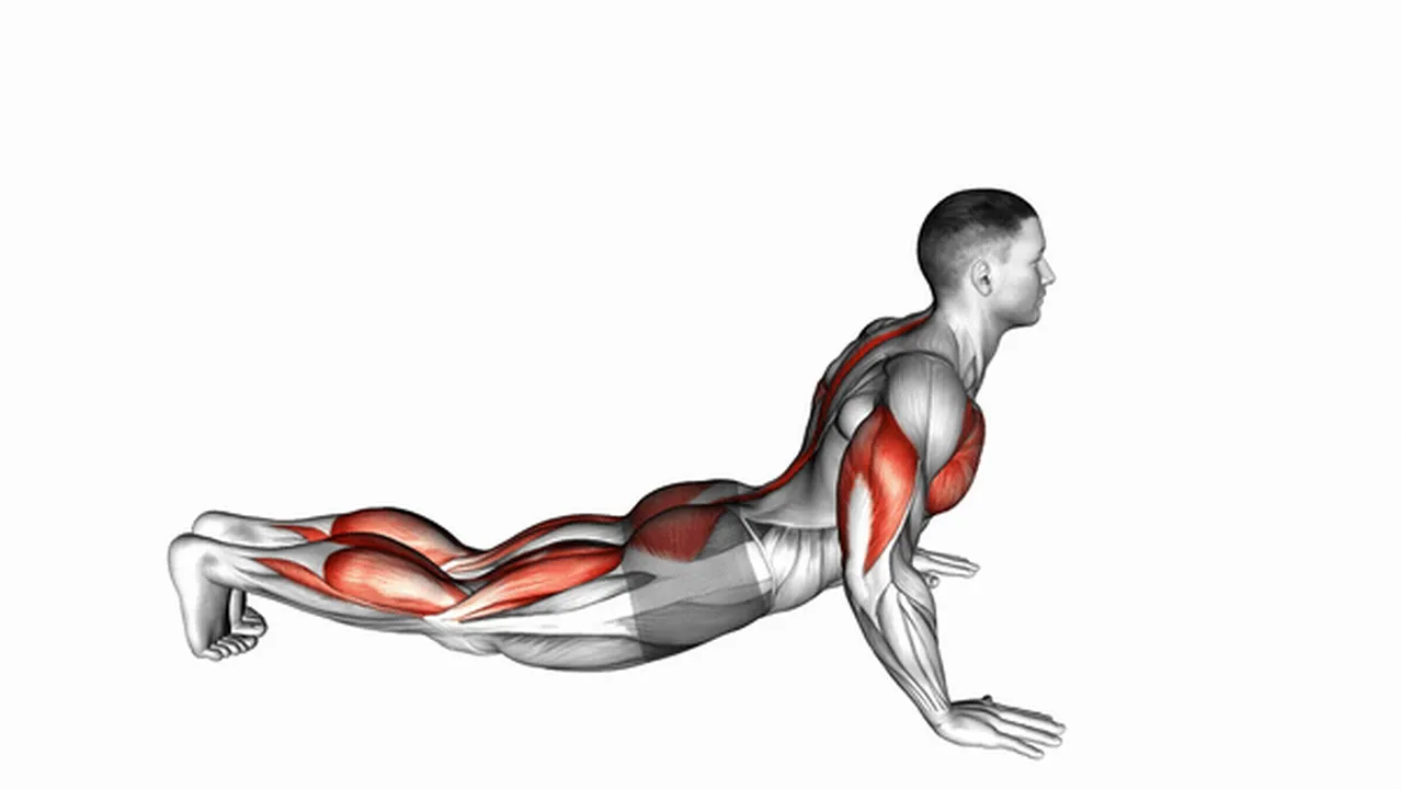 Alternatives to Cobra Push-Ups Image