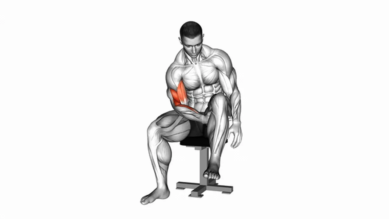 Common mistakes during concentration curls Image