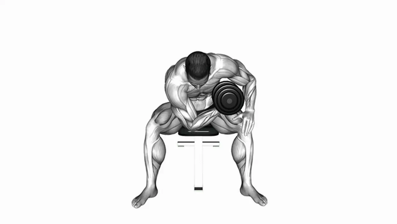 Common concentration curls variations Image