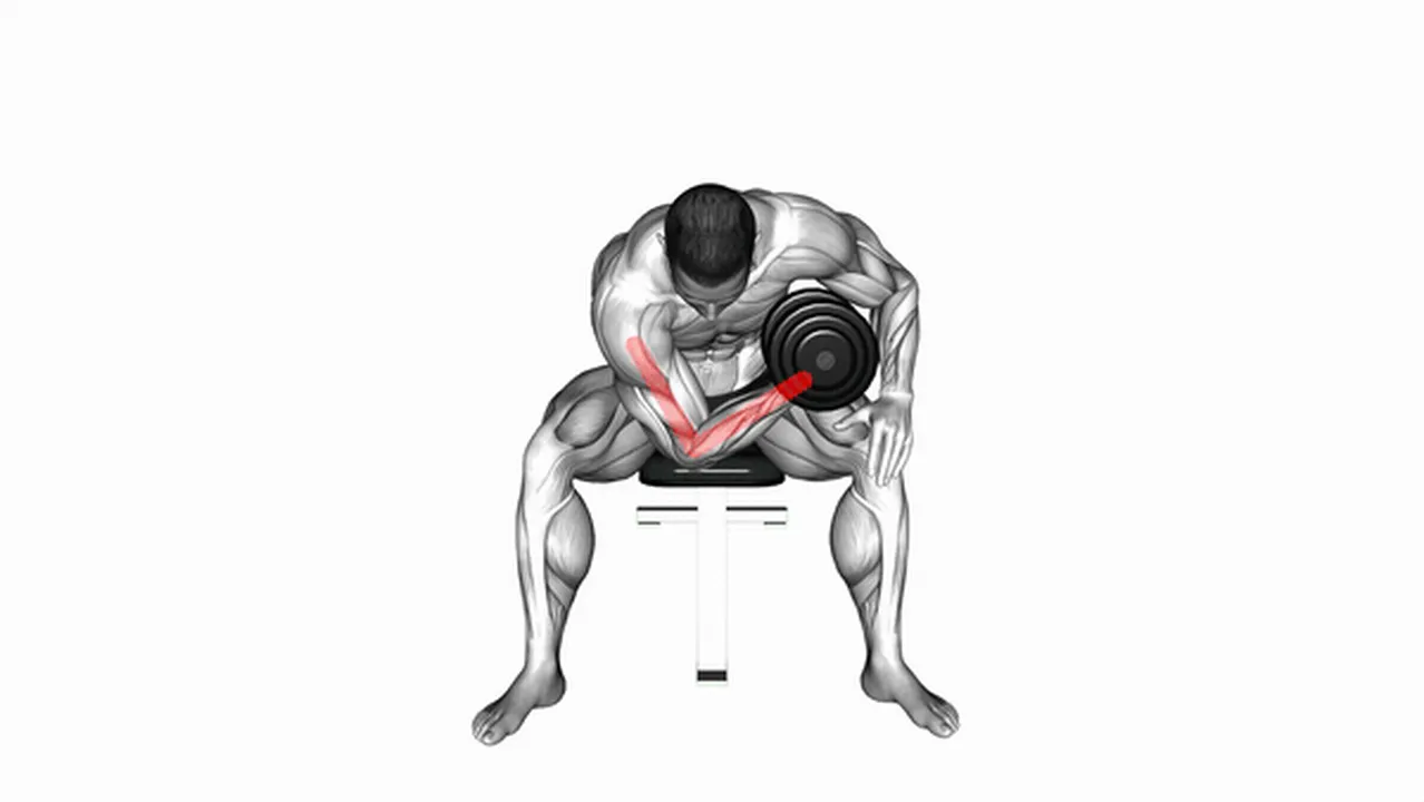 Common mistakes during concentration curls Image