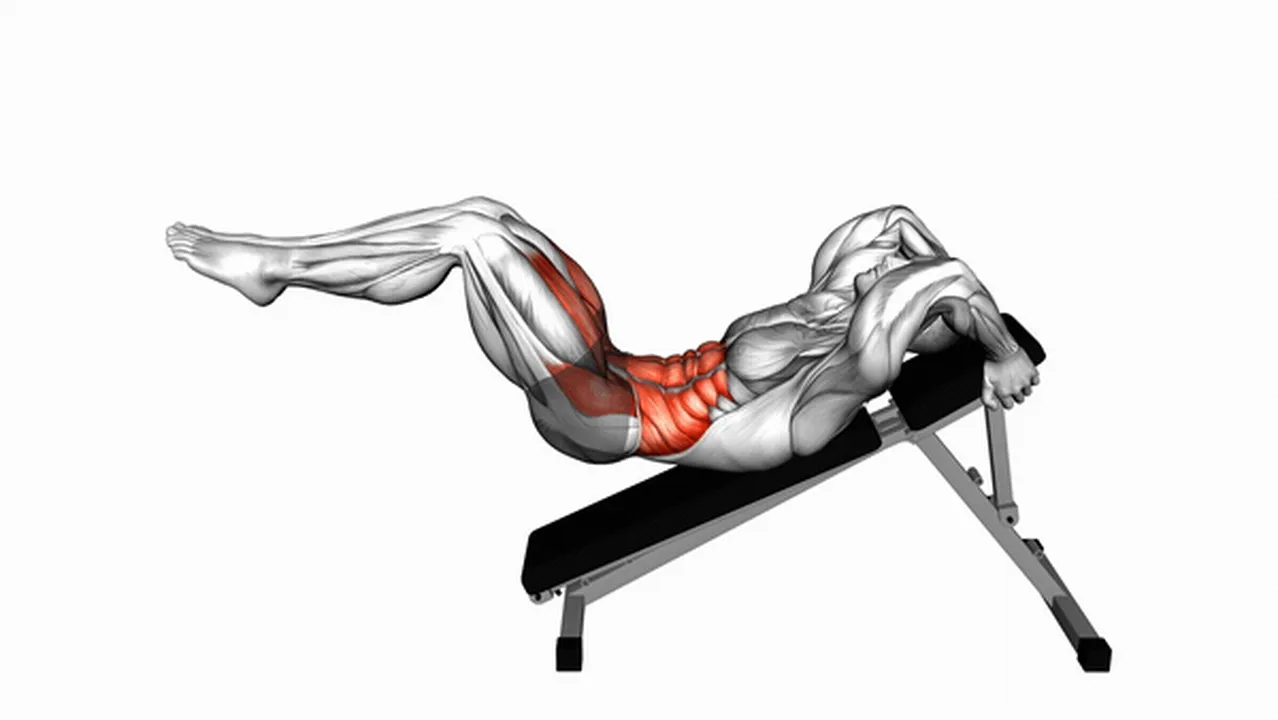 Alternatives to decline leg hip raises Image