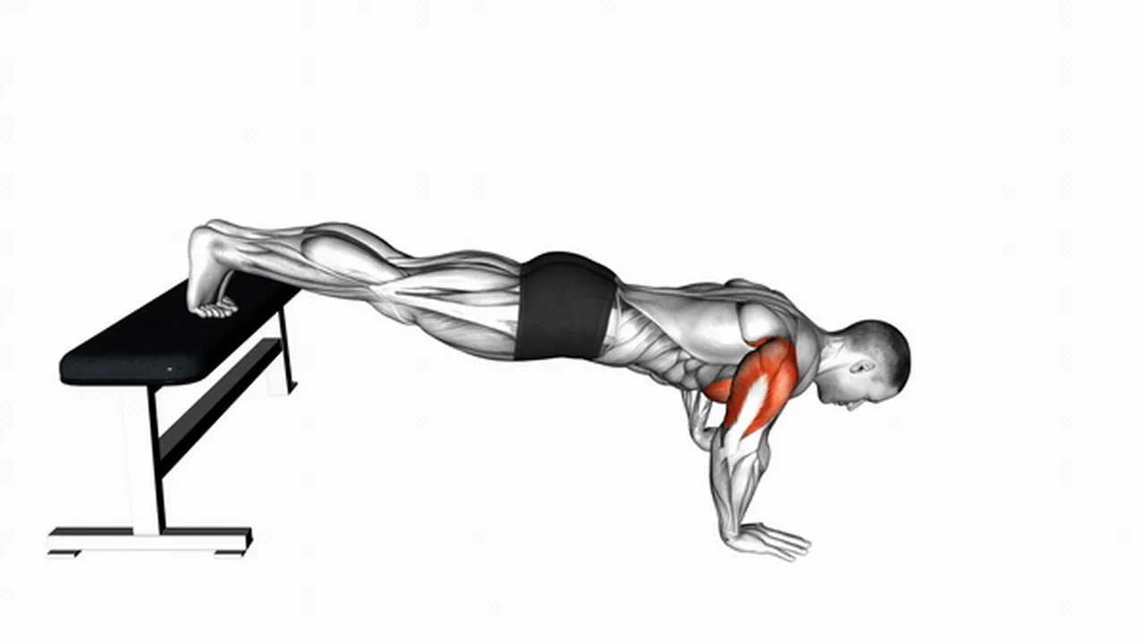 Common decline push-up variations Image