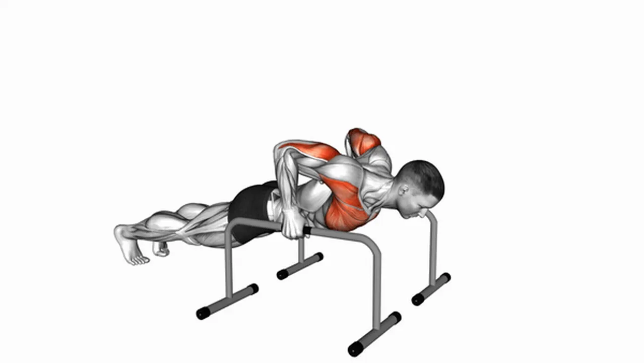 Common deep push-up on parallel bars variations Image