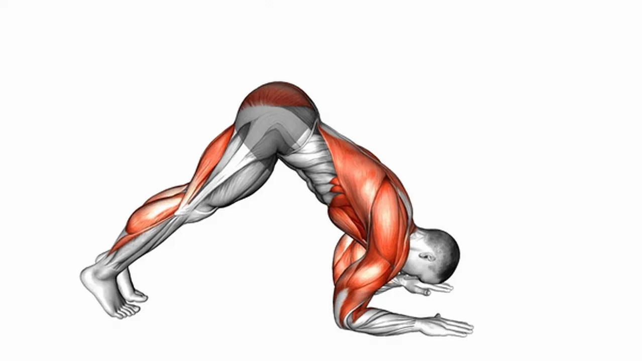 What are the benefits of Dolphin Pose Stretch? Image