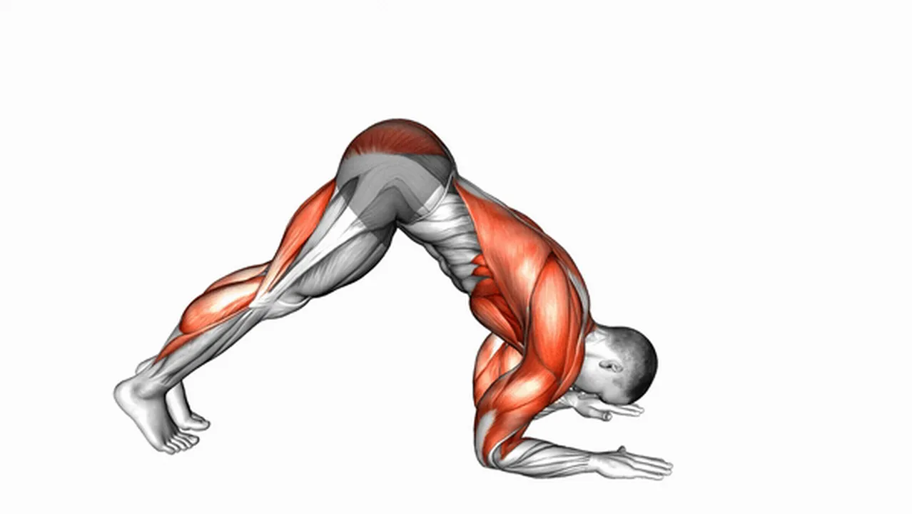 How to do Dolphin Pose Stretch? Image