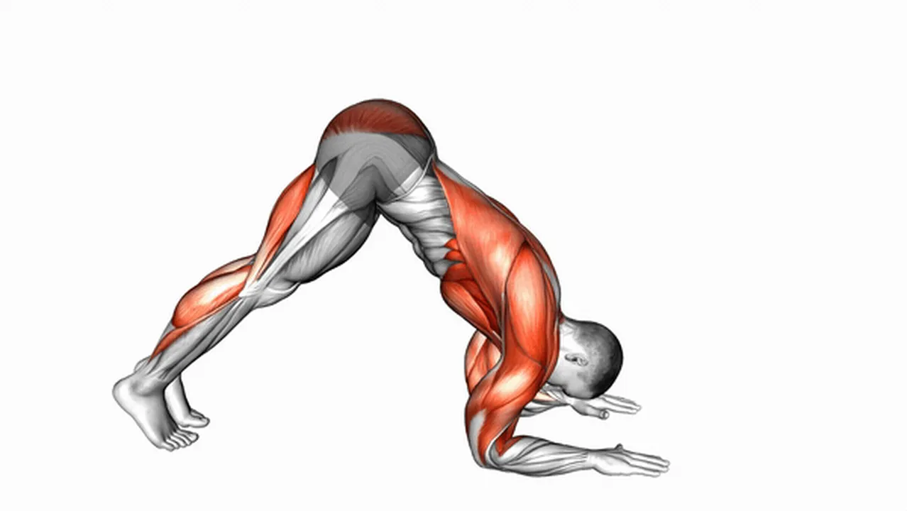 Common mistakes during Dolphin Pose Stretch Image